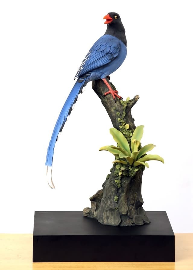 台灣藍鵲瓷器